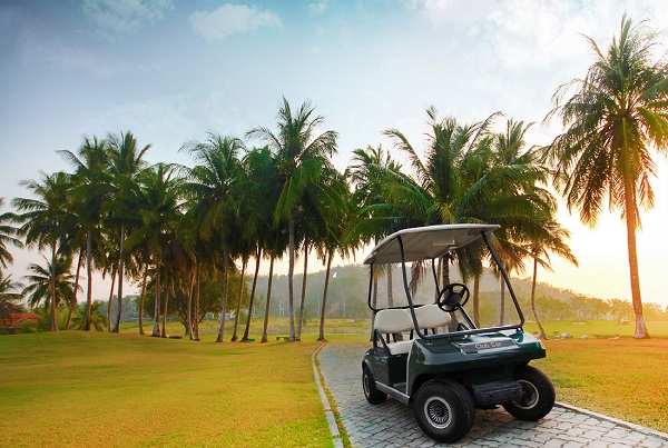 Golf cart at Palm Hills Golf Resort and Country Club