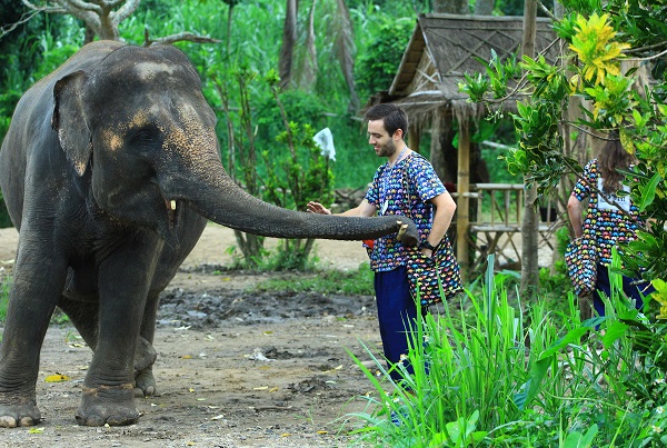 Chiang Mai Elephant Sanctuary