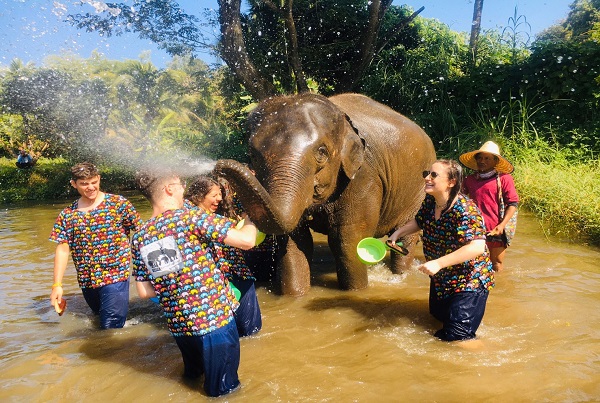 Chiang Mai Elephant Sanctuary