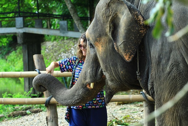 Chiang Mai Day Tours