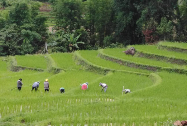 Chiang Mai Day Tours