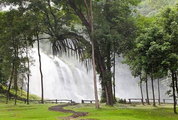 Doi Inthanon Day Tour