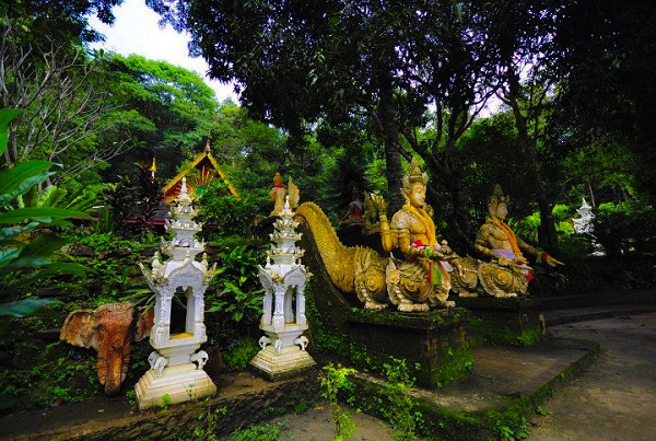 Chiang Mai Half Day Tour